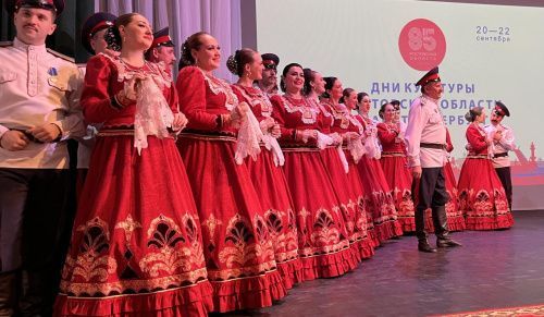 Итоги «Дней культуры Ростовской области в Санкт-Петербурге» подвели в регионе 