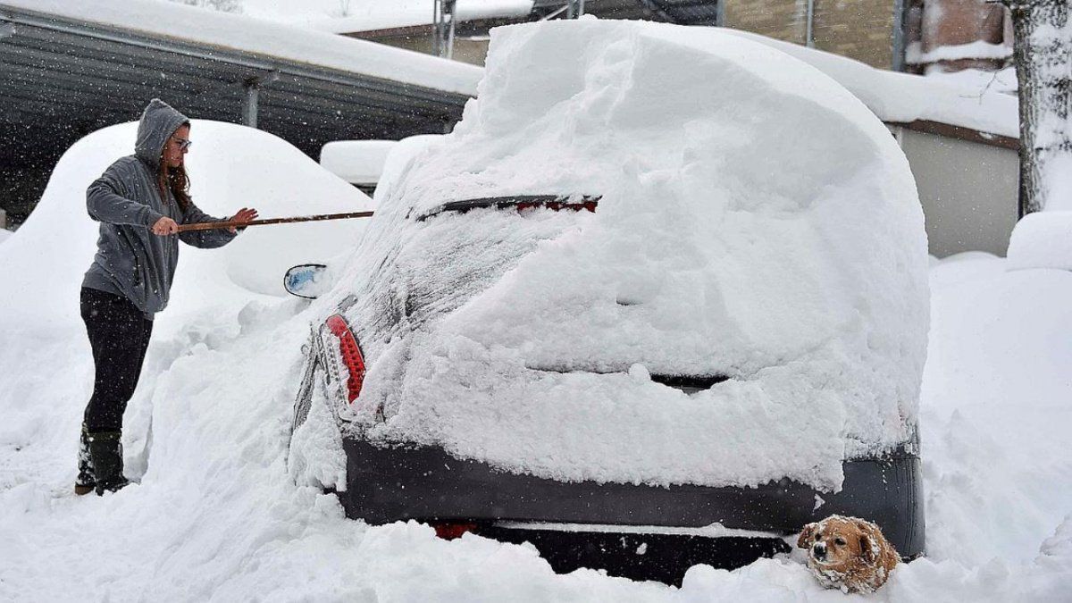 Жителей Ростовской области попросили приготовиться к обильным снегопадам