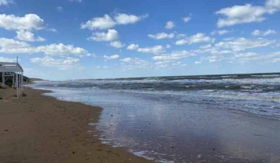 В Ростовской области создан новый Морской совет