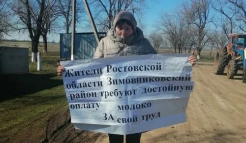 В Ростовской области фермеры протестуют из-за «молочного кризиса» 