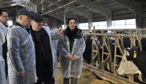 В Ростовской области в 2023 году господдержка фермеров увеличится на 80% 
