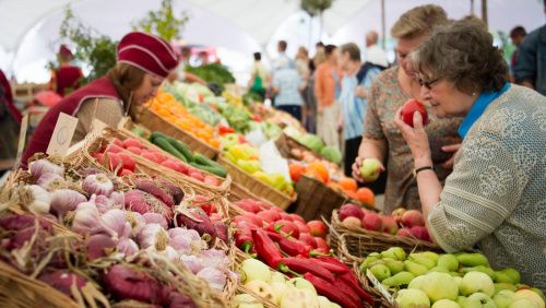 На территории старого аэропорта в Ростове создадут овощной рынок