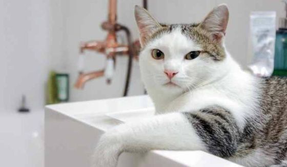 В Центре и Западном микрорайоне Ростова отключат горячую воду на 3,5 недели