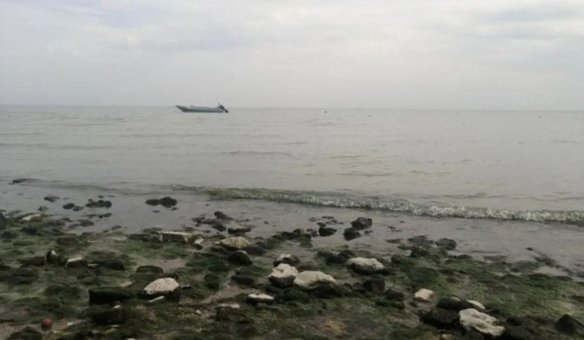 В Ростовской области Азовское море резко стало солёным