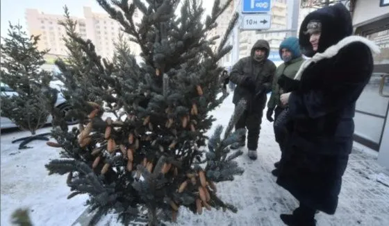 В Ростове пройдет акция по сбору елок